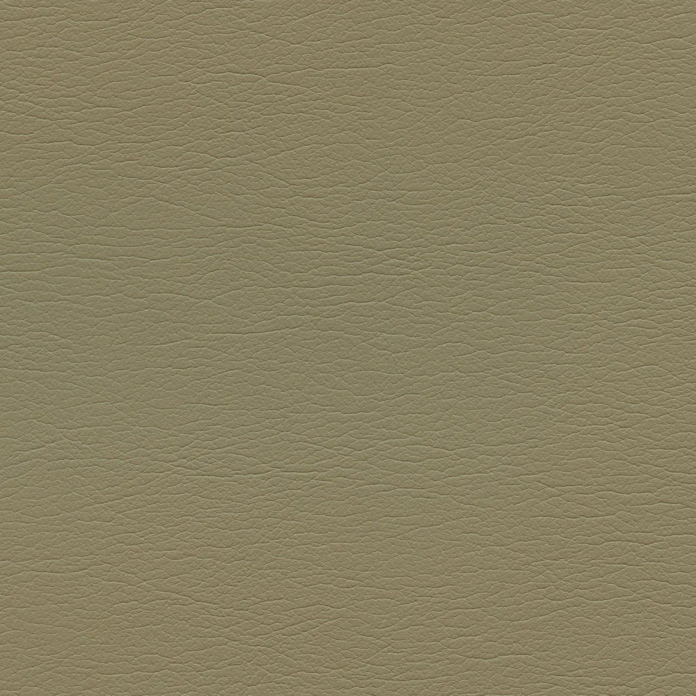 291-1256 Papyrus