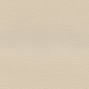 291-3719 Champagne