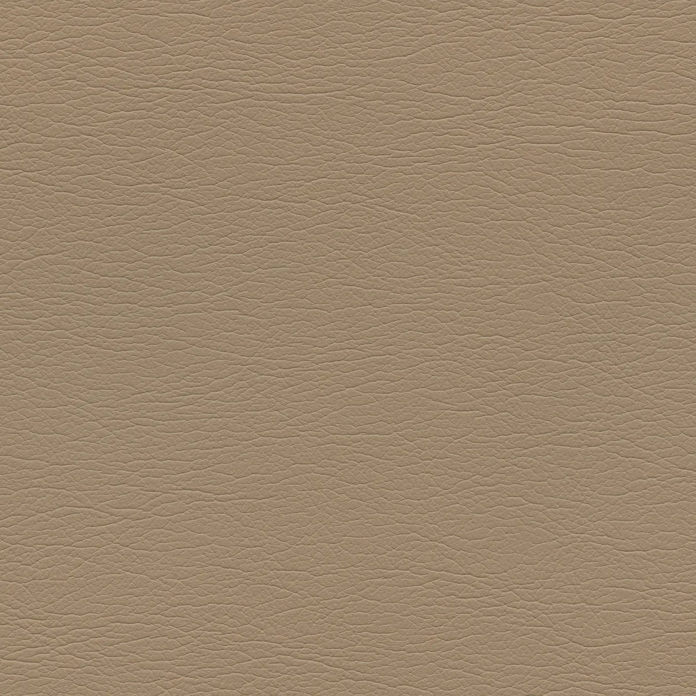 291-3926 Cashmere
