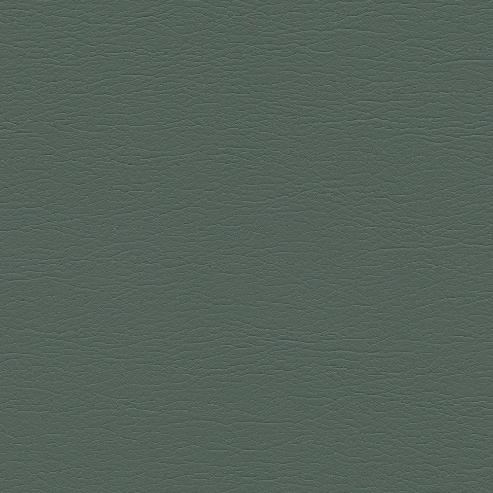 291-4351-Shetland