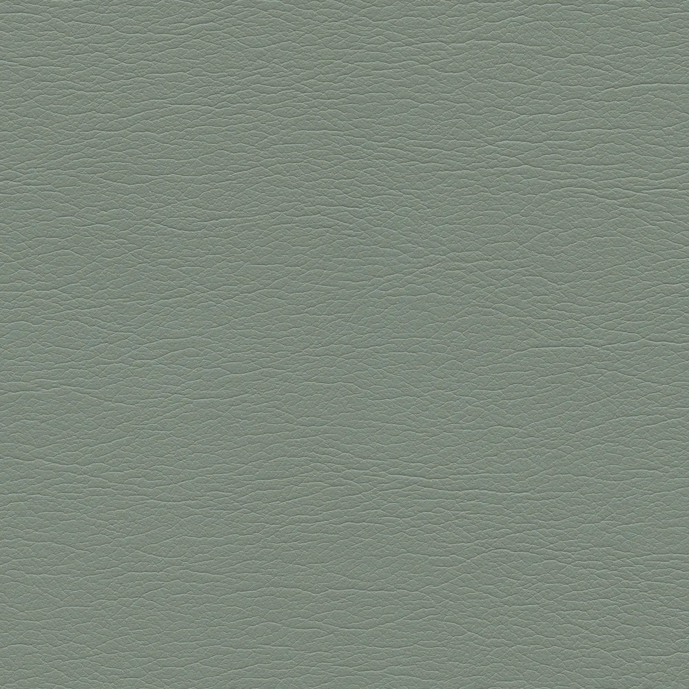 291-4430 Eucalyptus