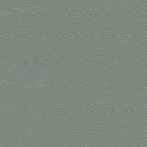 291-4430 Eucalyptus