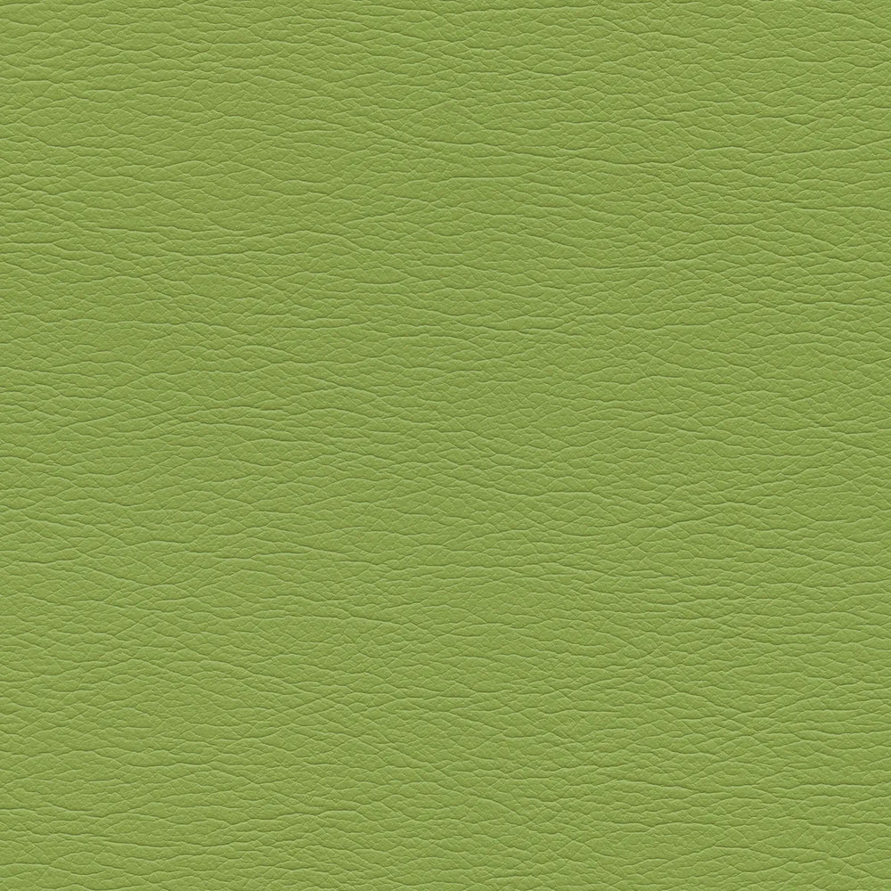 291-4460 Parrot