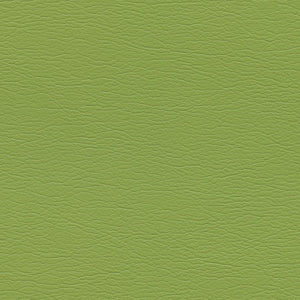 291-4460 Parrot
