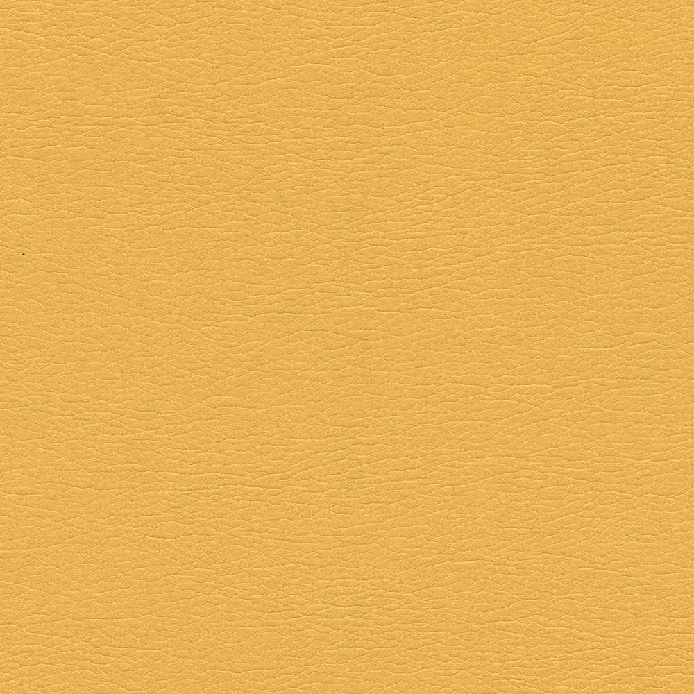 291-5250 Sassy