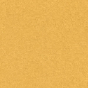 291-5250 Sassy