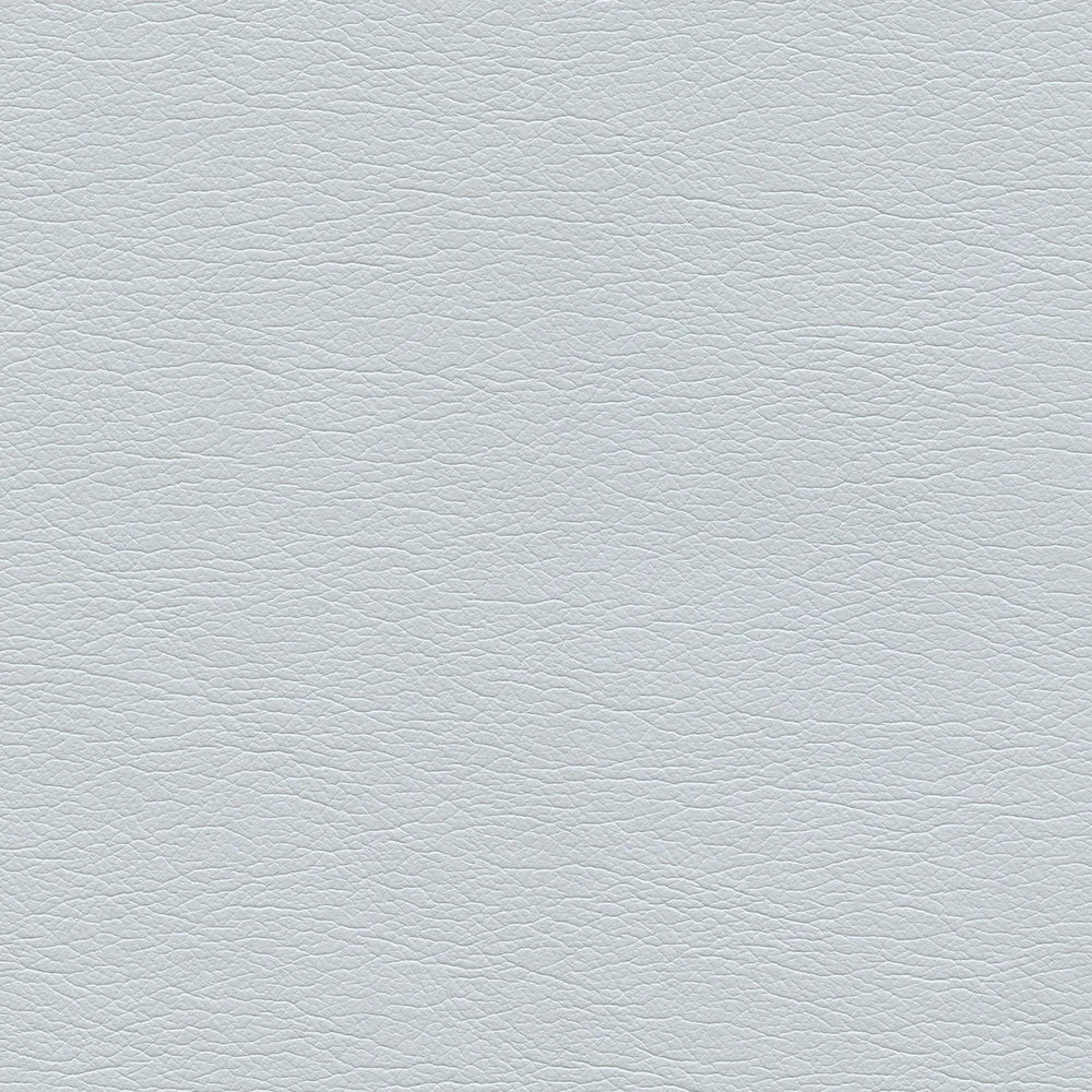 291-5668 Silver Pearl