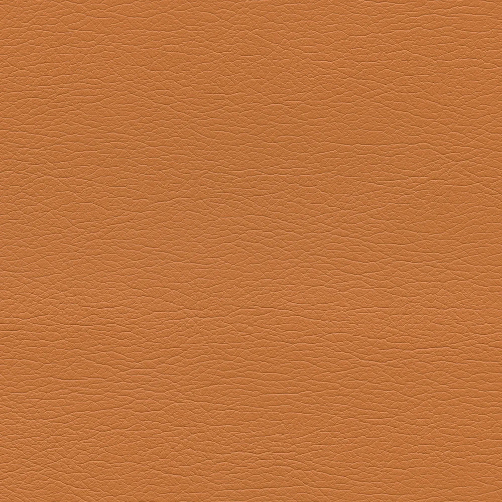 291-8243 Apricot