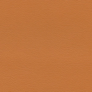 291-8243 Apricot