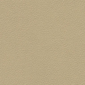 533-3864 Desert Clay