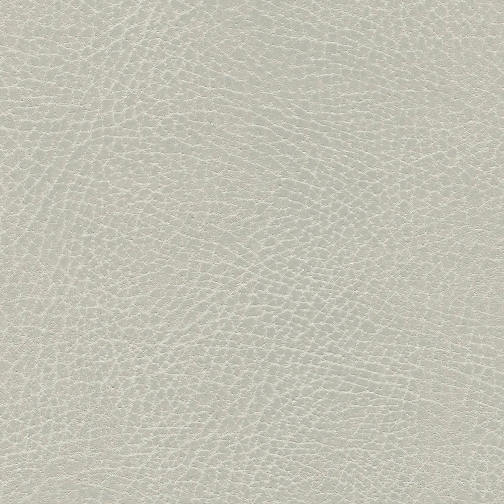 535-3274 Coyote