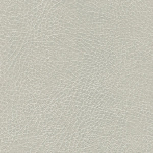 535-3274 Coyote