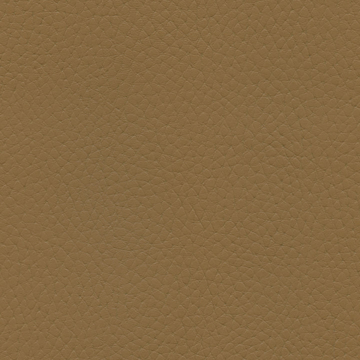 601-3348 Ginseng