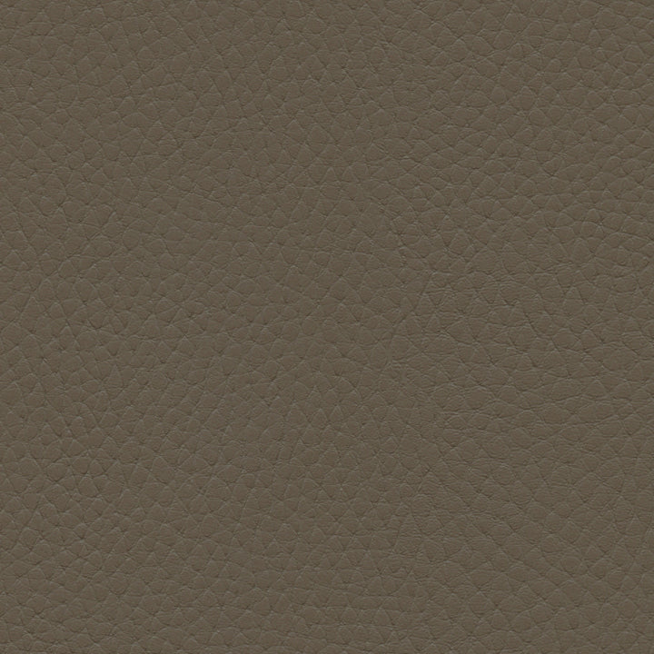 601-3386 Desert Dune