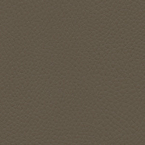 601-3386 Desert Dune