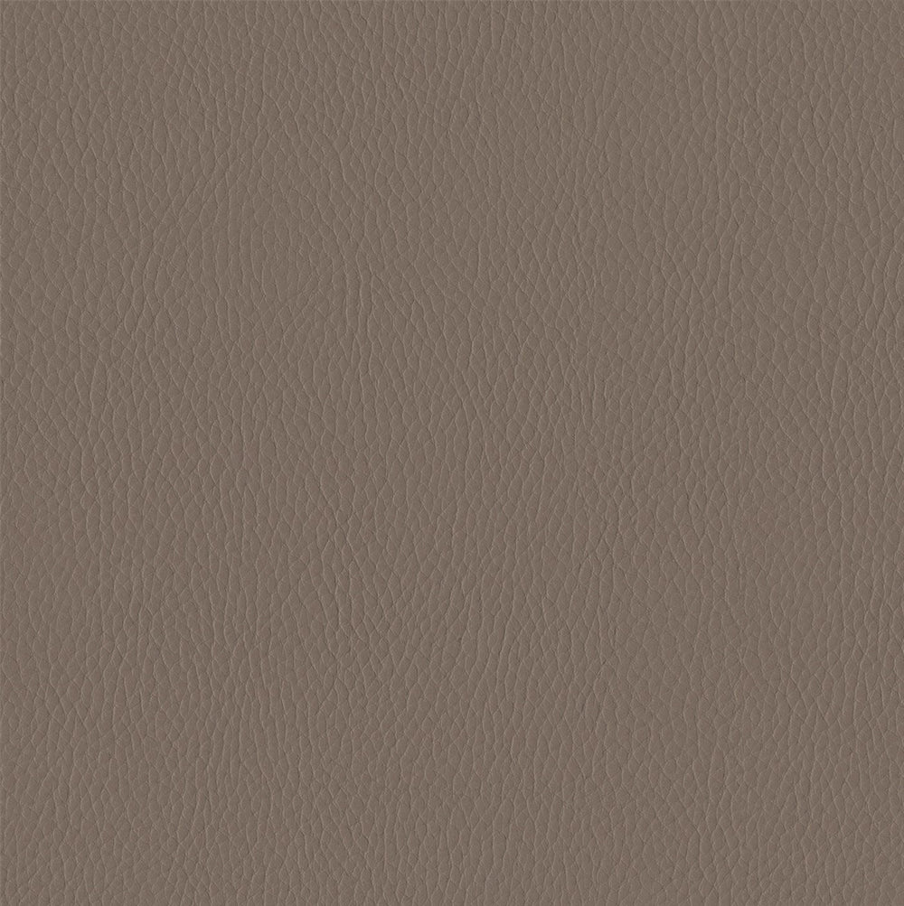 601-3885 Wild Truffle