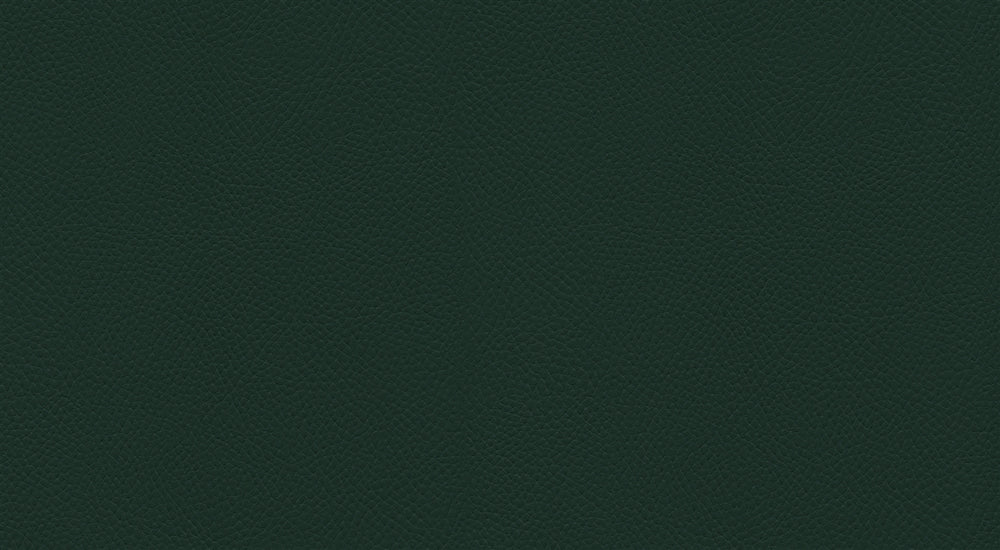 601-4346 Dark Spruce