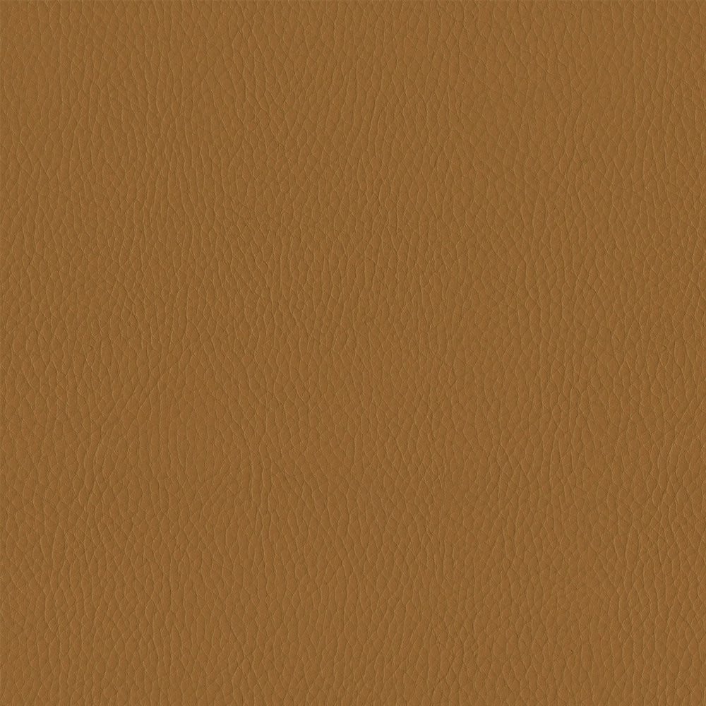 601-8283 Burnt Ochre 