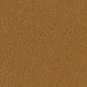 601-8283 Burnt Ochre 